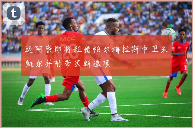 迈阿密即将租借帕尔梅拉斯中卫米凯尔并附带买断选项