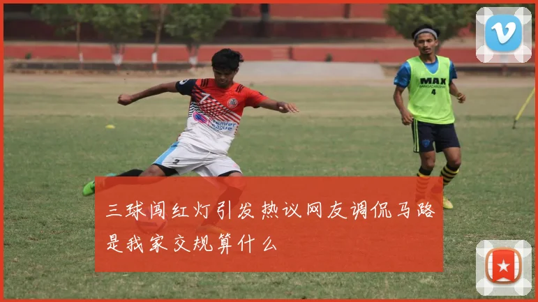 三球闯红灯引发热议网友调侃马路是我家交规算什么